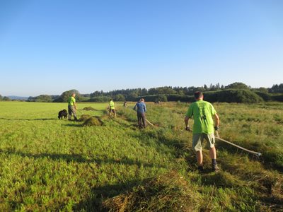 Projekt "Green Belt Camp Maltsch/Malše" unterstützen